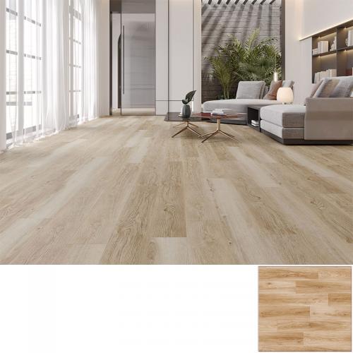 Apartment Building Floor